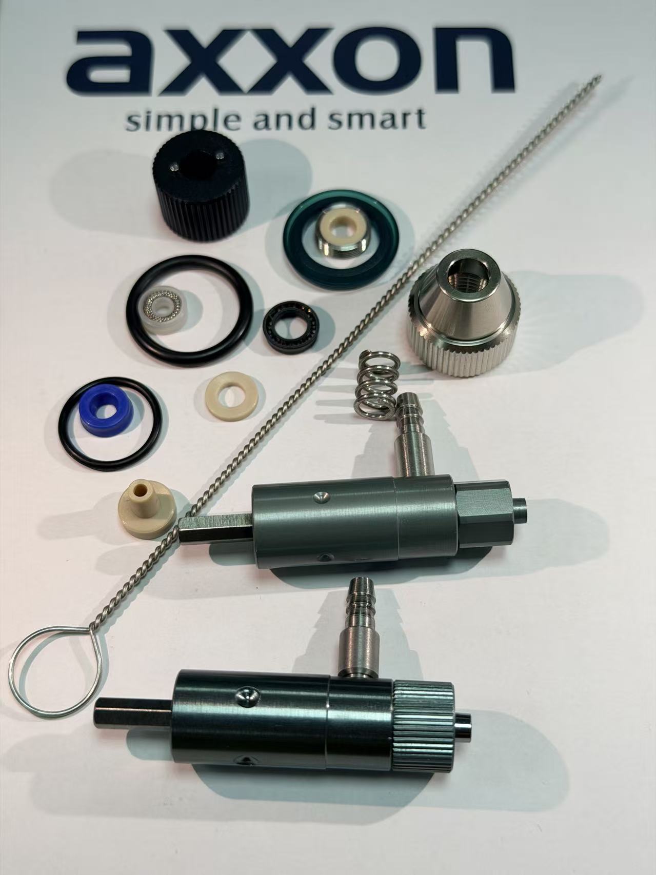 Axxon zigiluak